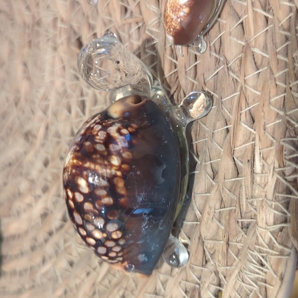 Shell Turtle Family - Picture 2 of 3